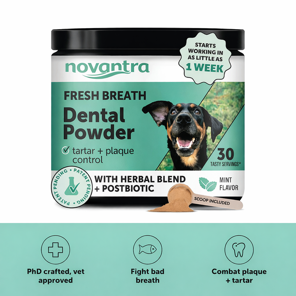 Novantra Fresh Breath Dental Powder